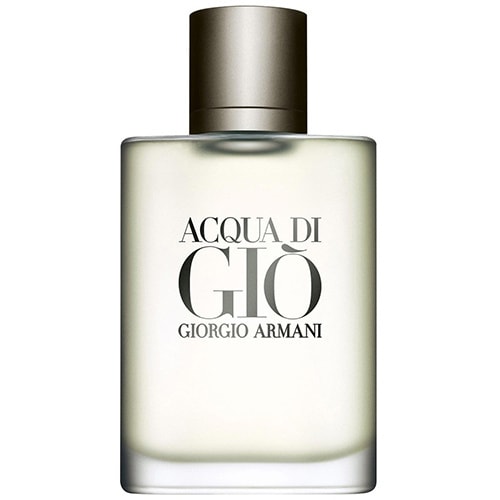 Giorgio Armani Acqua Di Giò pour Homme Eau de Toilette 100ml